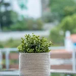 Casa de Férias Angela's House *