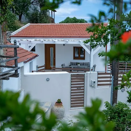Angela's House