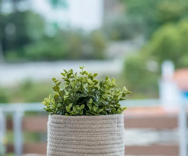 Σπίτι διακοπών Angela's House *